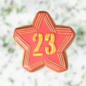 Трафарет+форма «Звезда с цифрой 23» 