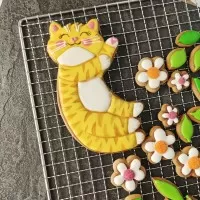 Котик. Штамп для печенья с вырубкой 15 см