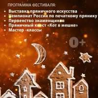 VII Международный фестиваль «Мир пряника».