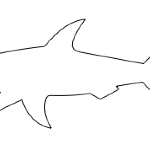 Форма "Акула"